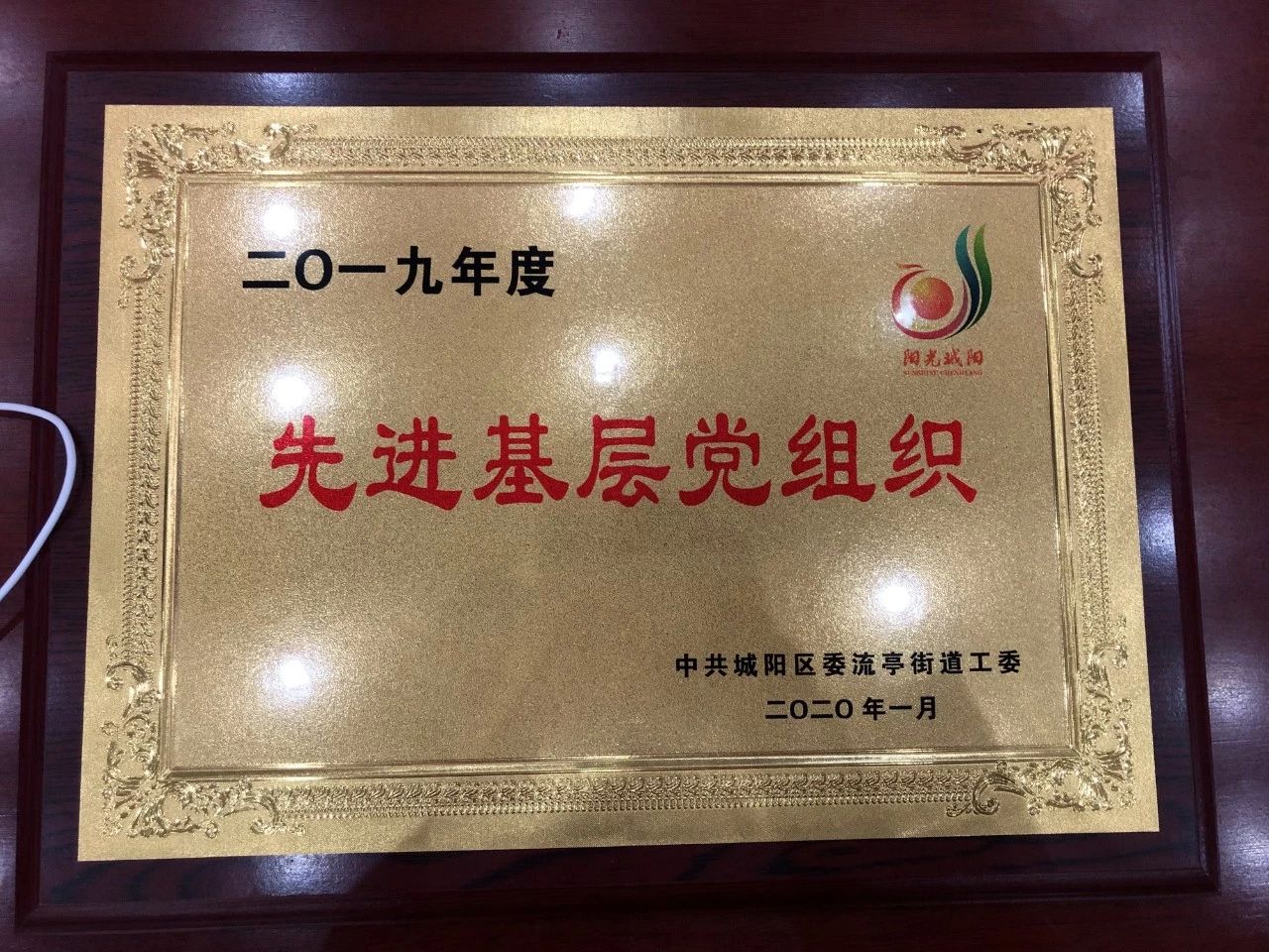 山東綠天使投資集團黨支部連續(xù)三年蟬聯(lián)“先進基層黨組織”榮譽稱號